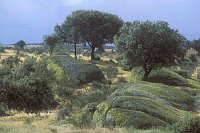 Sackverwitterung Extremadur