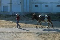 Mann mit Esel Extremadura