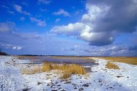 Vorland von Pramort Zingst