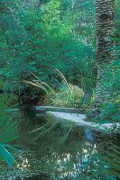 Garten v Alfabia Stuhl Teic