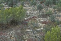 Legsteinmauern b San Telmo