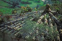 Garten v Raixa Dachansicht